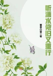 冰封圣骑