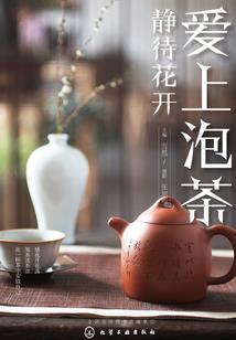 重生之反派也灿烂