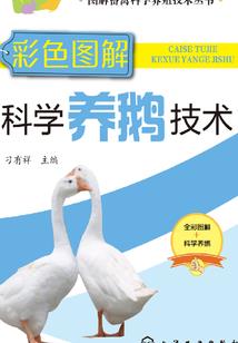 暗龙传说