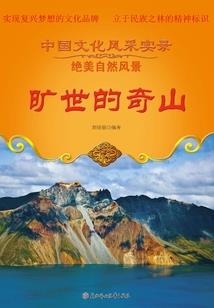 都市之霸主全才