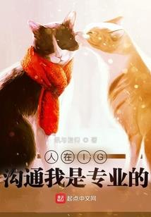 砖家老李