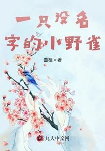 兵王世纪