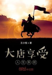 侠岚之我为辗迟