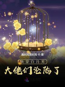 神武子羽传