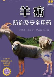 求悲