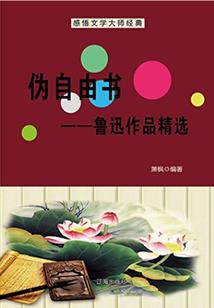 圣邪之瞳言无忌