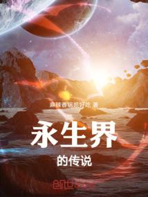 神辉圣队