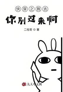 海贼王的冒险岛系统