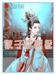 桀傲传