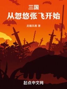 大雁飞翔