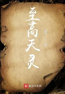 盗侣传奇