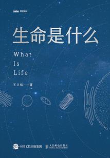 寻御神甲之路