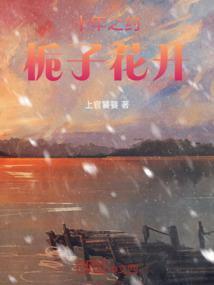 七星耀天记