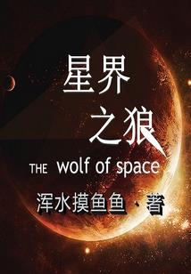 没有遗憾的人生不完美