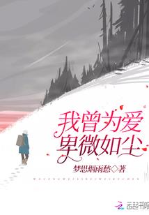 桃源小农民