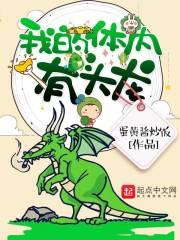 逐梦师
