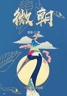 初雪与夏