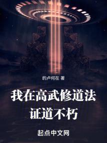 汉三的传奇