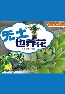 代理死神系统
