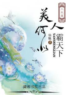 卧底女婿