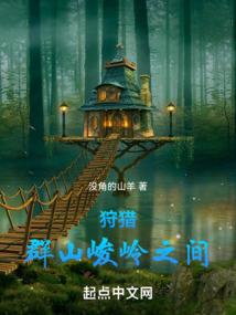 王中系统