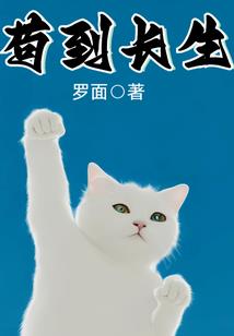 遥远2003