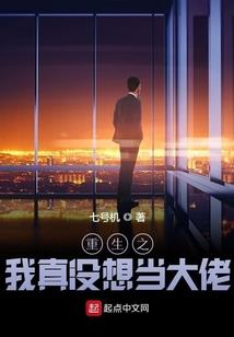 那年冬季雪花