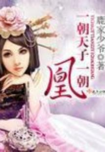神奇宝贝之璀璨的星光