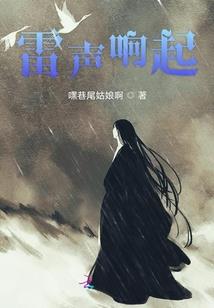 青鸟之翼