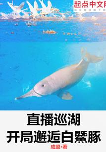 佳人轻抚琴