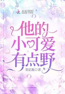 幻夜传说