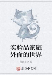 九星玲珑道