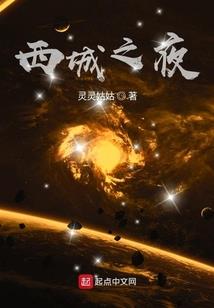 玩美视界