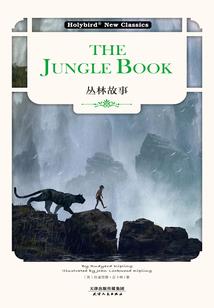 挑战皇威：多情皇妃花心梦