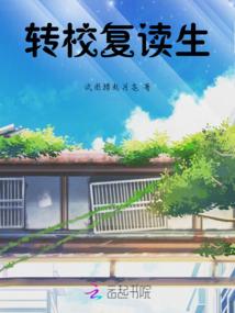 骆驼日记