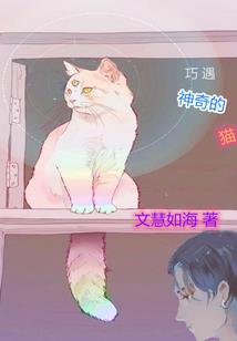 孽恋：昙花一现