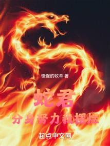 瞳色之青铜器争霸