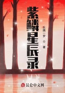 忆尘传