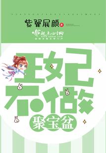 纵横三界之小丐传奇