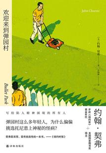 双侣探案