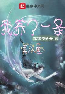 寻风而起