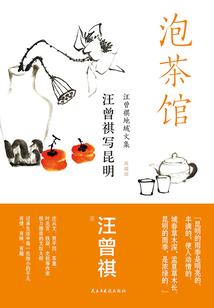 至高阴阳功