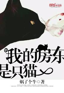 数面之缘