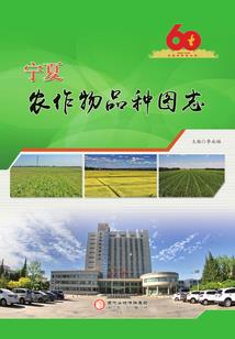 一点江湖意