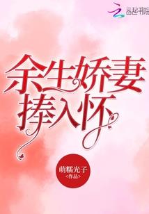 穿越之倾城军师