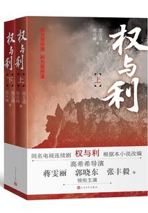 重生之圣巫女传