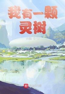 异世界的无能圣创师