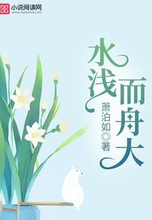 反抗：闪耀