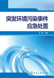 我是恶龙，专抢公主