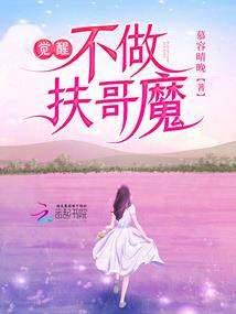 灰姑娘的公主之路